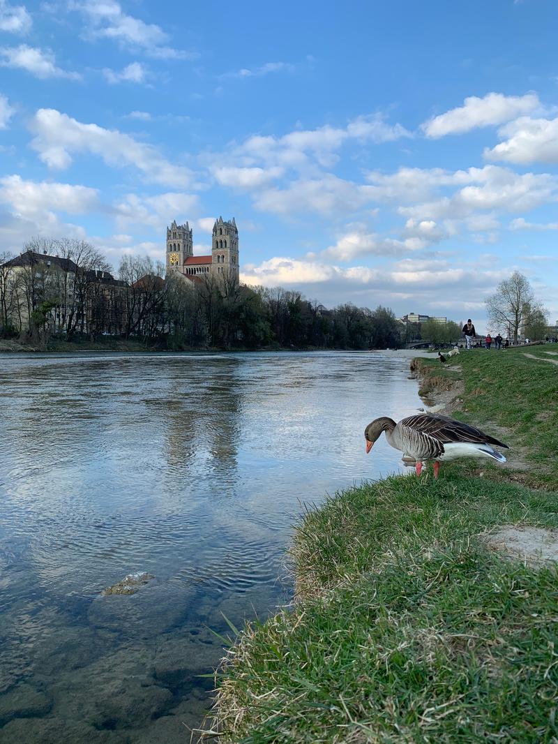 Interactive Demo Image for Image Transformations